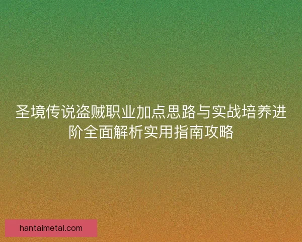 圣境传说盗贼职业加点思路与实战培养进阶全面解析实用指南攻略
