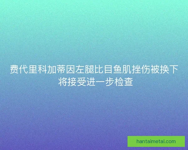 费代里科加蒂因左腿比目鱼肌挫伤被换下 将接受进一步检查 费代里科加蒂因左腿比目鱼肌挫伤被换下 将接受进一步检查