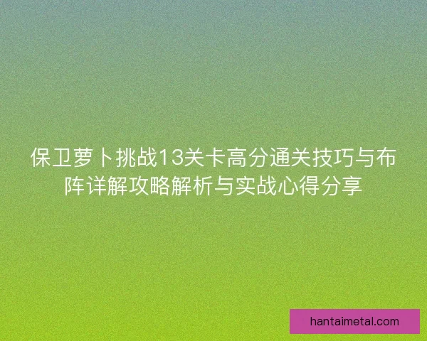 保卫萝卜挑战13关卡高分通关技巧与布阵详解攻略解析与实战心得分享