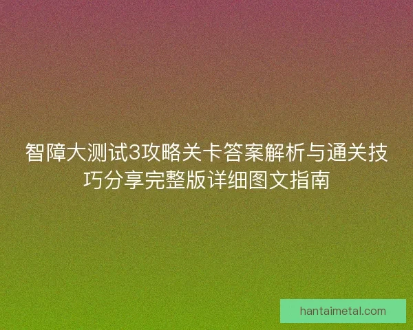 智障大测试3攻略关卡答案解析与通关技巧分享完整版详细图文指南